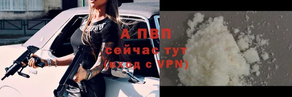 стаф Баксан