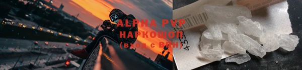 стаф Баксан