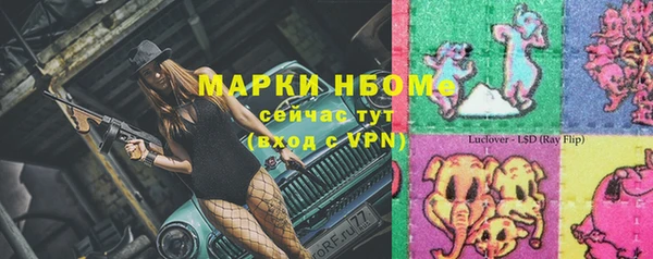 стаф Баксан