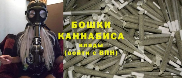 стаф Баксан