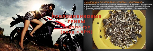 стаф Баксан