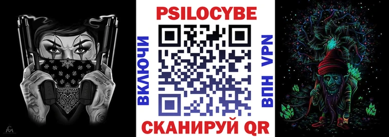 omg tor  где можно купить   Городище  Псилоцибиновые грибы MAGIC MUSHROOMS 